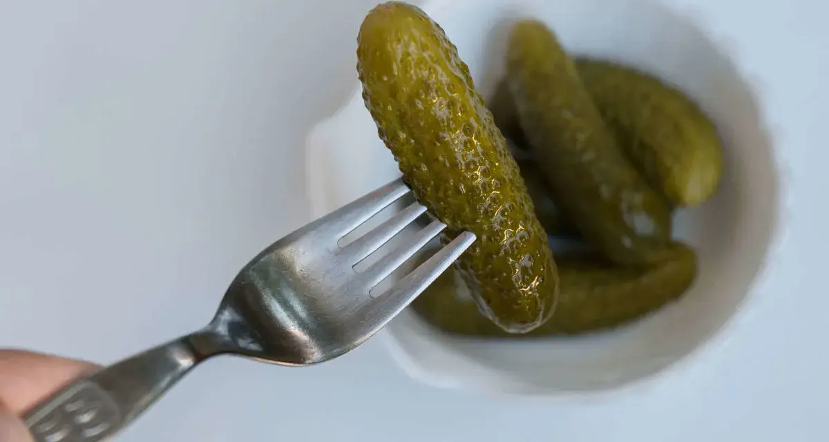 Un cetriolo sottaceto viene sollevato da una forchetta da una ciotola bianca piena di altri cetrioli sottaceto.