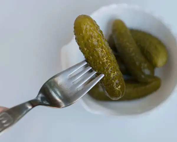 Un cetriolo sottaceto viene sollevato da una forchetta da una ciotola bianca piena di altri cetrioli sottaceto.