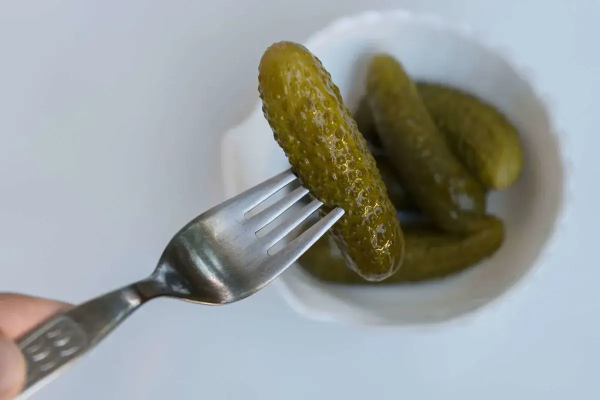 Un cetriolo sottaceto viene sollevato da una forchetta da una ciotola bianca piena di altri cetrioli sottaceto.